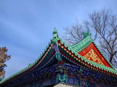 -颐和园