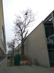 -FAIRY婚礼跟拍工作室