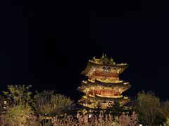 -迎泽公园