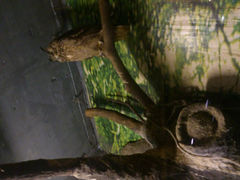android_upload_pic-上海大自然野生昆虫馆