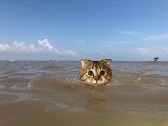 -日照海滨国家森林公园