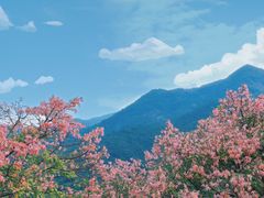 -东莞观音山旅游风景区