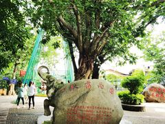 -一寨两国风景区
