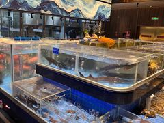 -青蓬蒸汽海鲜·深圳老字号·团建聚会(壹方城店)