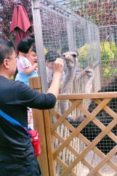 -萌宠亲子动物乐园(槐房万达店)