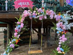 -洛阳白云山景区