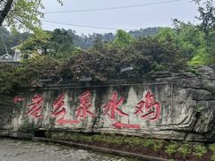 -老幺泉水鸡