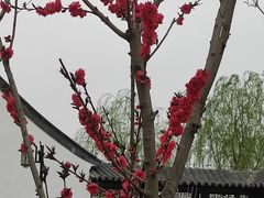 -河北省第三届（邢台园博园）园林博览会