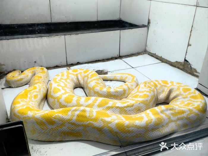 郑州市动物园图片