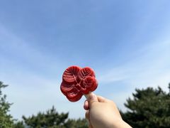 -香山公园