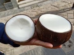 -志龙皇冠吃货椰子铺