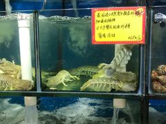 水产区-蚝专家(北滘店)