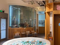 -宠爱国际动物医院·消化内科·心肾内科·ISFM猫友好(望京店)