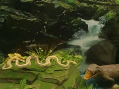 -四川农业大学(雅安校区)