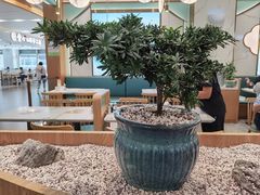 -苏晓玥·手作江南小吃(深圳北站店)