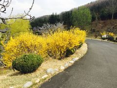 -威海华夏城景区