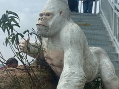 -西霞口神雕山野生动物世界