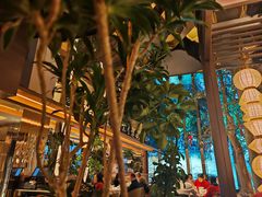 -桂满陇·海市蜃楼·黑金(国金店)