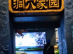 -柳州白莲洞洞穴科学博物馆