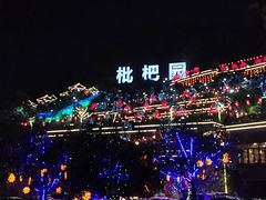-枇杷园食为鲜火锅(南山店)