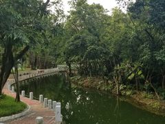 -人民公园(罗湖区)