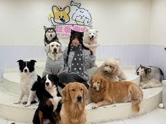 -汪说·狗咖·拼豆·宠物周边DIY(旺城大厦店)