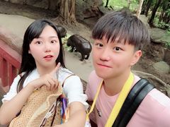 -清迈夜间动物园