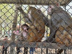 -长白岛森林公园