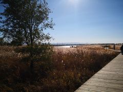 -野鸭湖国家湿地公园