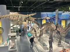 -国家自然博物馆