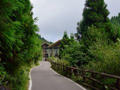 -武陵山森林公园