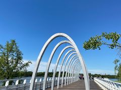 -大兴滨河森林公园