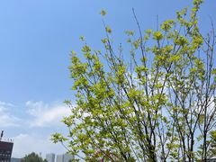 -大连理工大学(凌水校区)