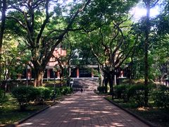 -中山大学学者灵芝(园南路店)