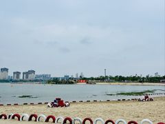 -九龙湖公园
