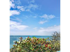 -三亚蜈支洲岛旅游区
