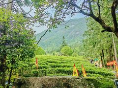 -姑婆山旅游区