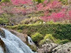 -刘伯温故里景区百丈漈