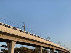 -宝安西湾红树林湿地公园