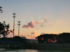-大湾区中央湿地公园