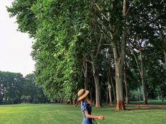 -河南省黄河迎宾馆