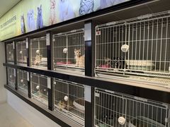 -翊宠yipet猫狗购宠庄园犬舍•猫舍