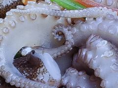 -来之顺海鲜菜馆·青岛菜·始于1993(栈桥店)