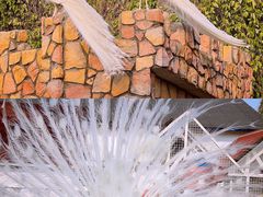 -J Create城市露营咖啡·简餐·宠物(上海动物园店)