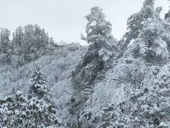 -西岭雪山大飞水景区