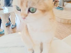 -大悦城(沈阳中街店)