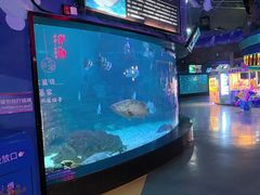 -烟台海昌鲸鲨海洋公园