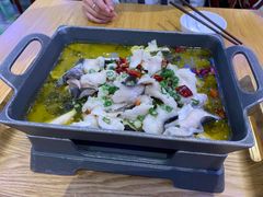 -美食小镇·观赏珍稀鸟类·长隆熊猫酒店