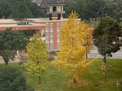 -四川大学(望江校区)