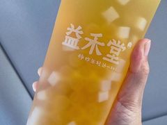 -益禾堂·薄荷柠檬水(中通雅苑店)